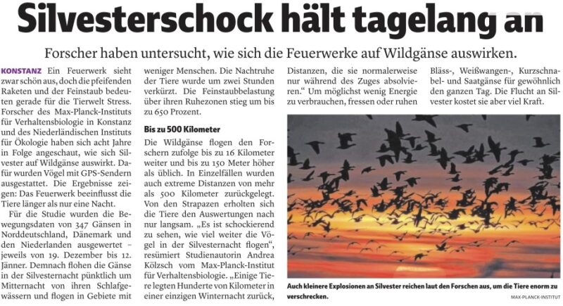 Screenshot_20221228_083810_Vorarlberger Nachrichten (2)