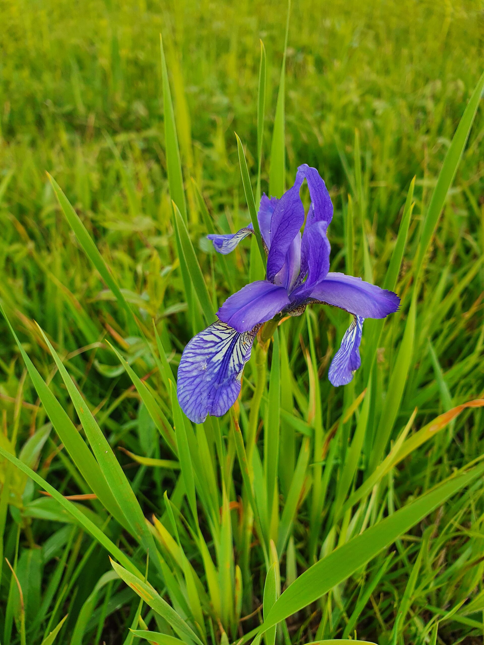 Foto: Nina Kräutler-Ferrari
