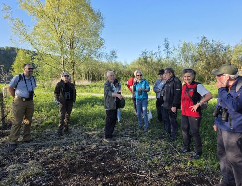 Exkursion Egelsee: Naturerlebnis bei idealem Frühlingswetter